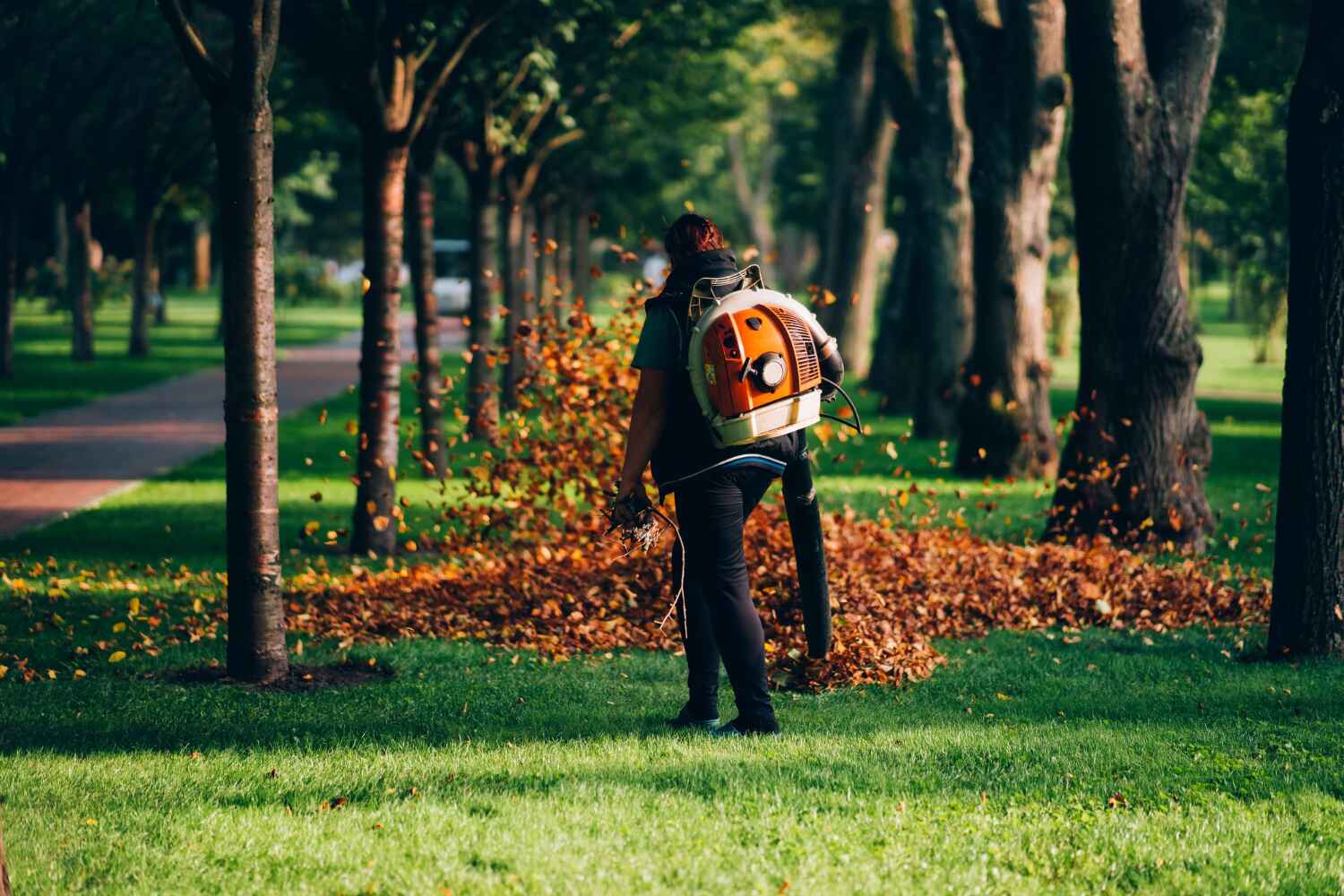 Best Tree Removal Near Me  in Alvarado, TX